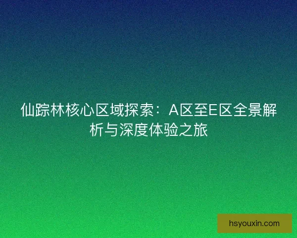 仙踪林核心区域探索：A区至E区全景解析与深度体验之旅