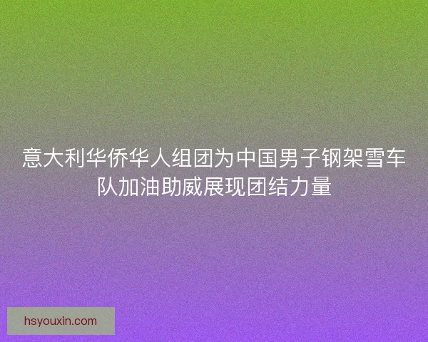 意大利华侨华人组团为中国男子钢架雪车队加油助威展现团结力量 意大利华侨华人组团为中国男子钢架雪车队加油助威展现团结力量