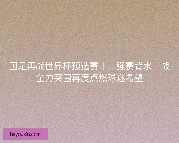 国足再战世界杯预选赛十二强赛背水一战全力突围再度点燃球迷希望